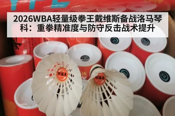 2026WBA轻量级拳王戴维斯备战洛马琴科:重拳精准度与防守反击战术提升 - jiuyou game